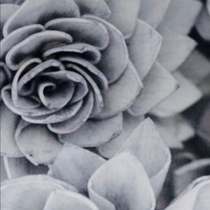 Meet your Posher, Ciara